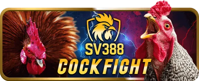 Hướng dẫn đăng nhập i9bet142 và khắc phục lỗi